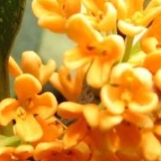 Do Race 漫画 Okama 看漫画手机版