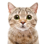 玉响漫画 ゆき林檎 看漫画手机版